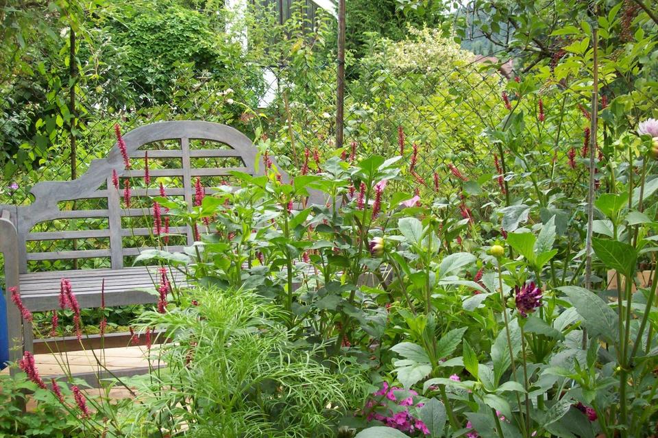 Thumbnail-Liebevolles Zuhause