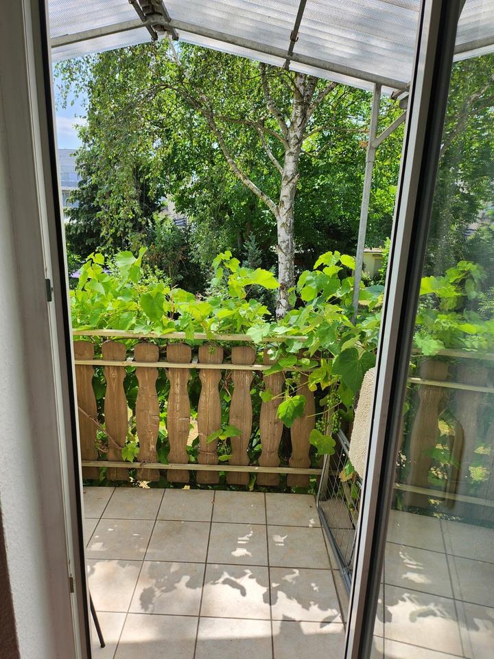 Thumbnail-Altbauwohnung 2ZKB + EBK + Stellplatz + Balkon in Uninähe