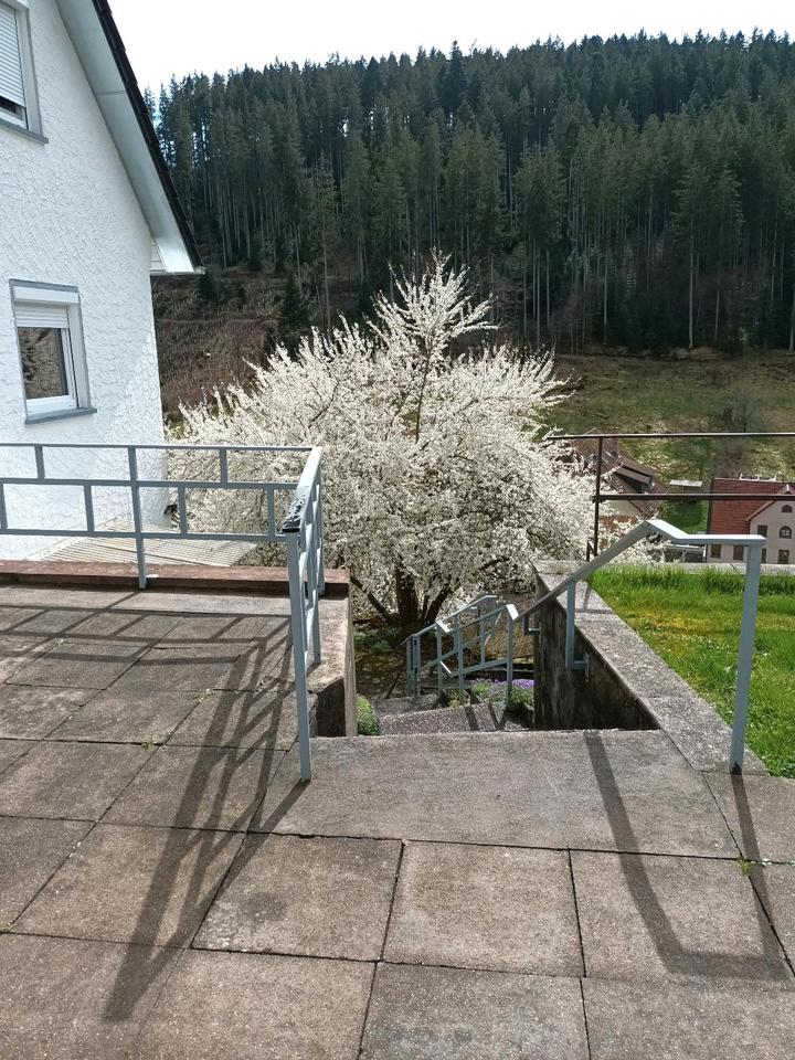 Thumbnail-Haus mit großem Grundstück zu verkaufen