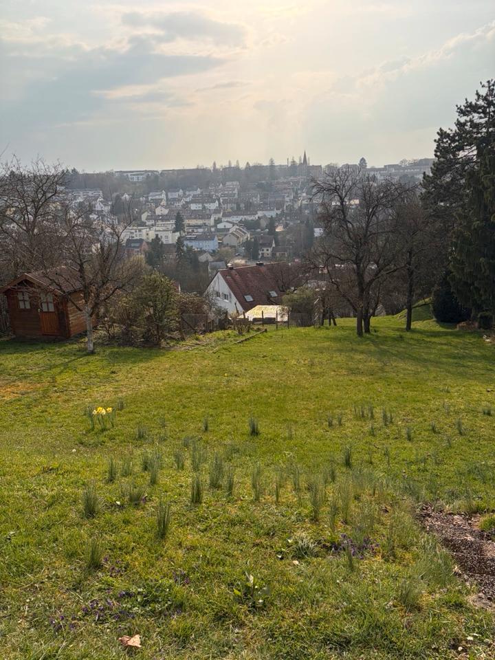 Thumbnail-Charmante 1-Zimmer Wohnung mit Terrasse für Erstbezug