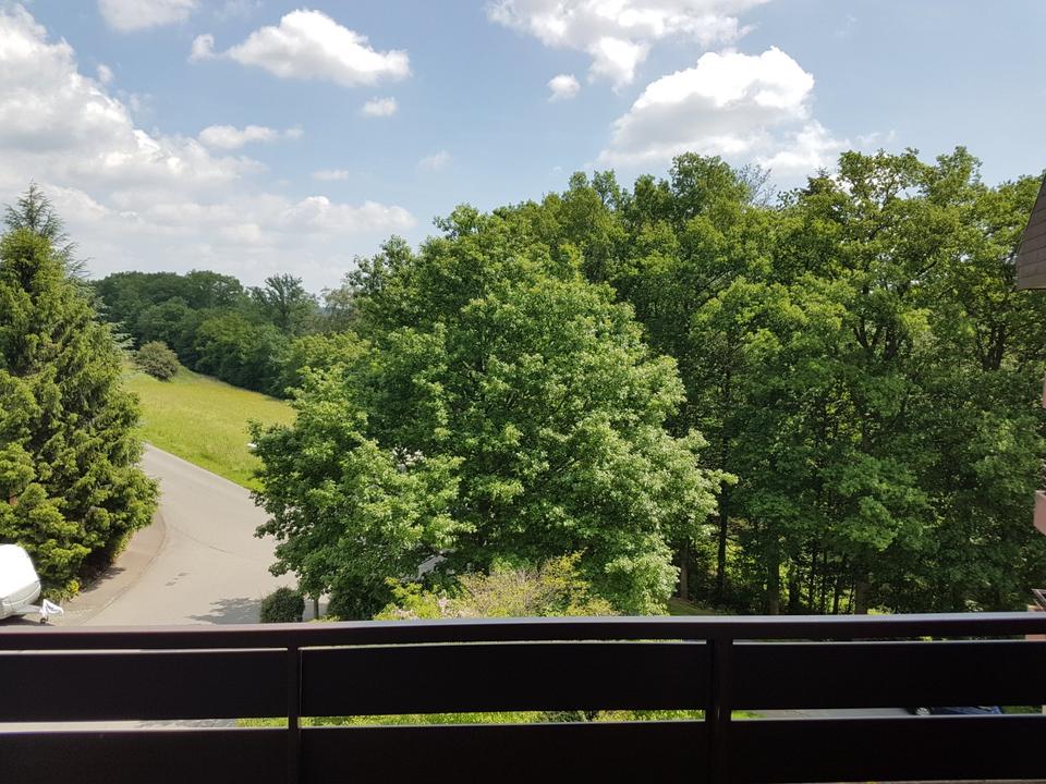 Thumbnail-Gemütliche 1-Zimmer-Wohnung in Altensteig mit Hausmeisterservice