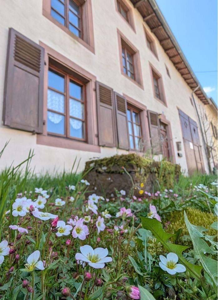 Thumbnail-Geräumiges Bauernhaus mit 7 Zimmern in Niedaltdorf