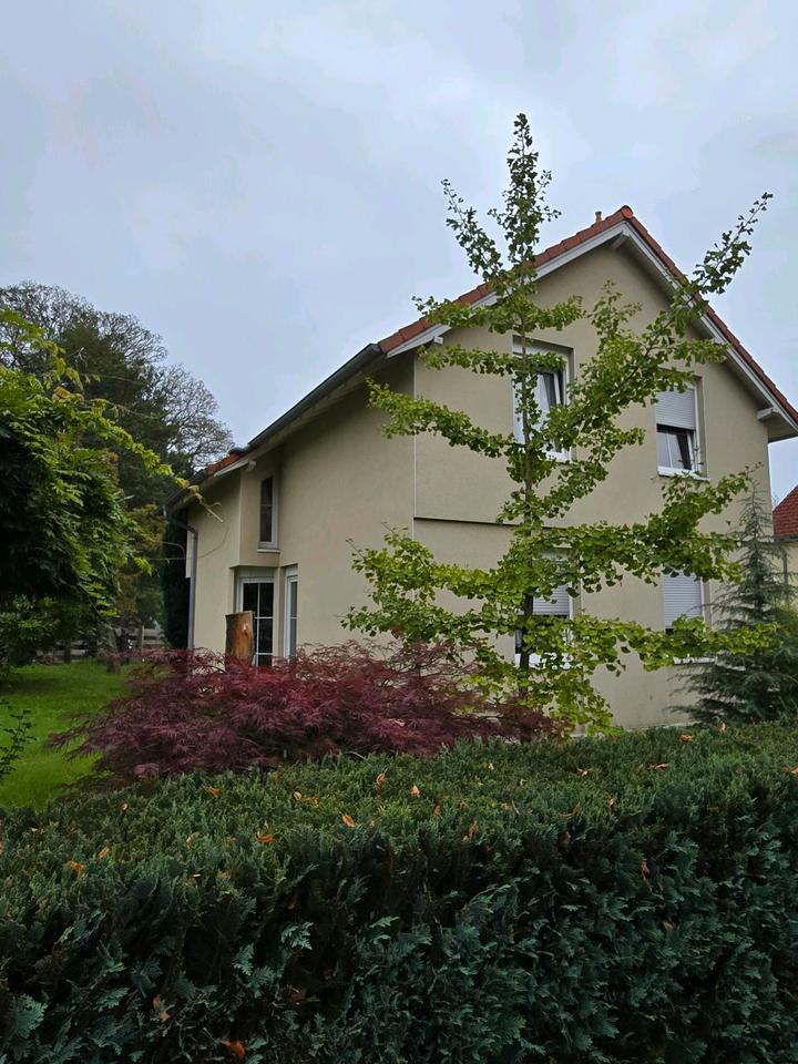 Thumbnail-Haus zum Kauf auf dem Land freistehend, ländlich