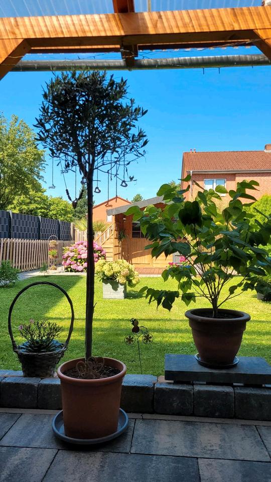 Thumbnail-Solides Reihenhaus in Schwarmstedt zu verkaufen