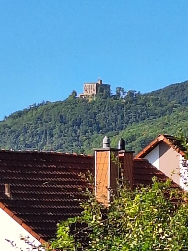 Thumbnail-Traumhafte Wohnung mit Blick aufs Hambacher Schloss