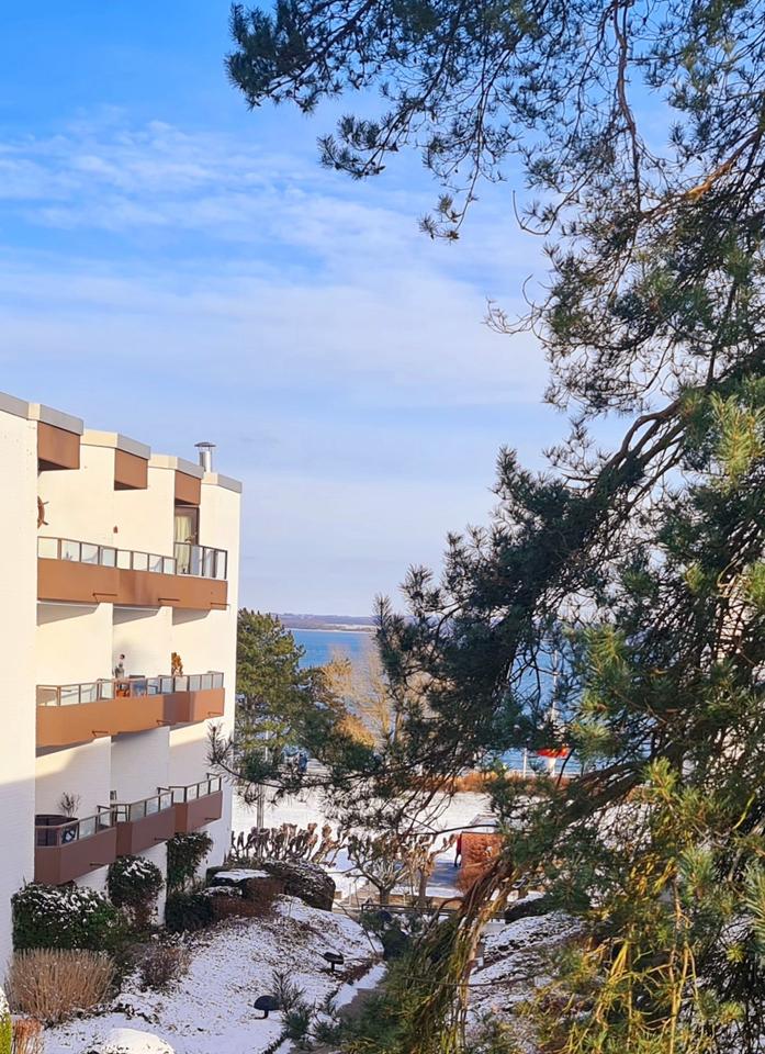 Thumbnail-Ferienwohnung in Travemünde Ostseeblick Hund willkommen