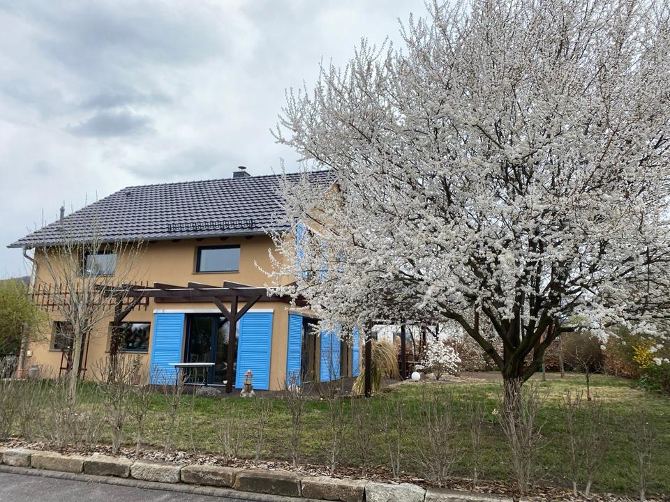 Thumbnail-2-Zimmer im EFH im grünen Graupa zwischen Weinbergen und Elbe