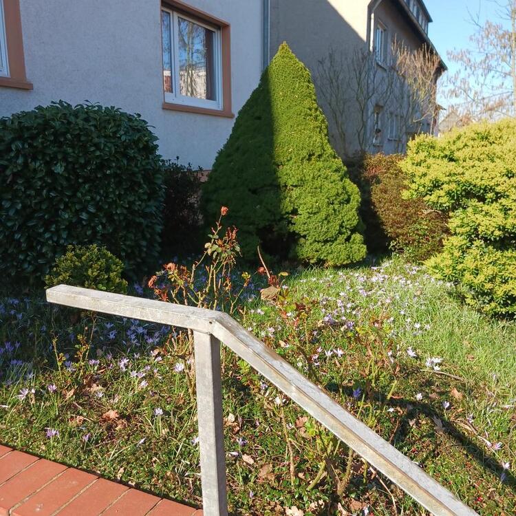 Thumbnail-Wohnung 2,5