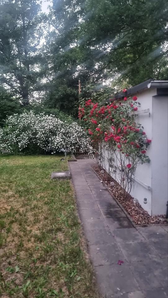 Thumbnail-Bungalow - Eigentum - Pretzien (OASE)