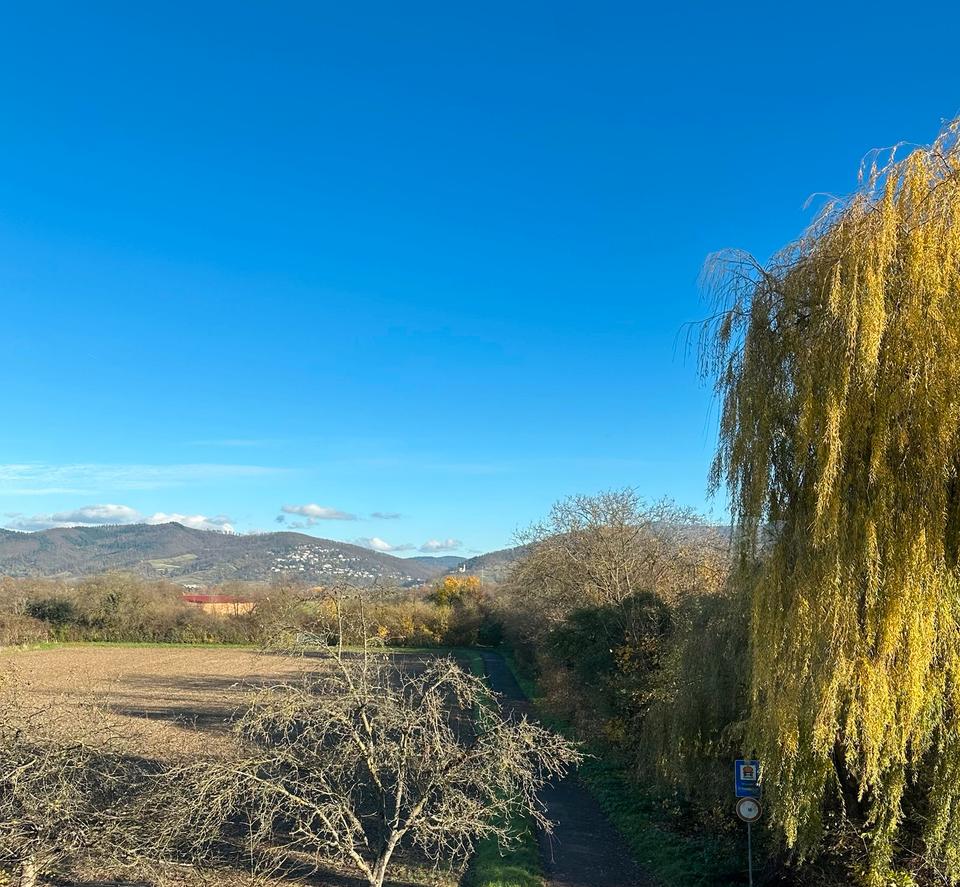 Thumbnail-Schöne Dachgeschosswohnung. 4 ZKB mit EBK, Terrasse, Kamin…