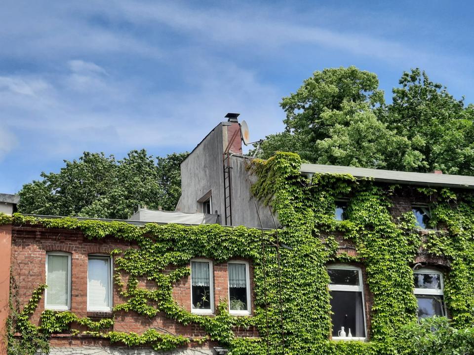Thumbnail-Geräumige Dachgeschosswohnung in Alter Brauerei Heidmühle