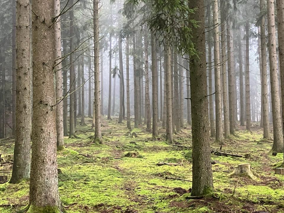 Thumbnail-Ferienwohnung Auszeit Eifel Sauna Fewo