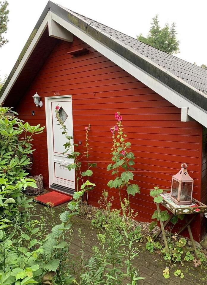 Thumbnail-Urlaub mit Hund, Urlab an der Ostsee, Haus am See