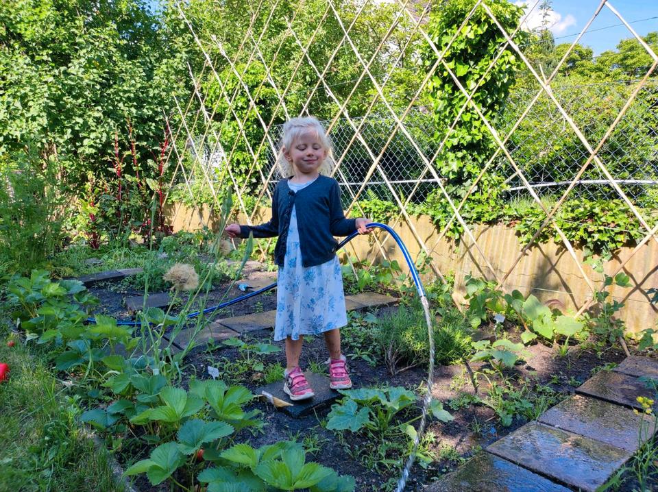 Thumbnail-Gemeinschaftsgarten