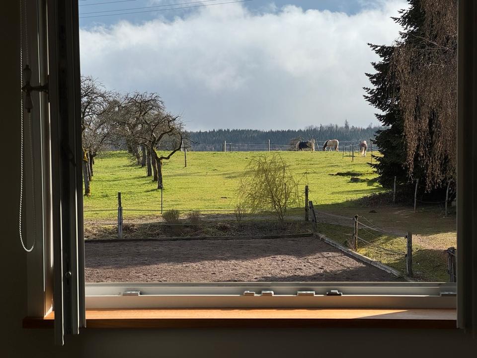 Thumbnail-3,5 Zimmer Maisonette für Paar, Einzelperson oder WG