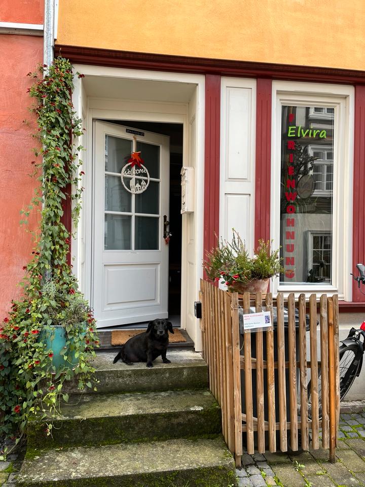 Thumbnail-Ferienwohnung Elvira