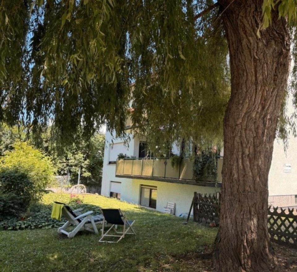 Thumbnail-Vollständig renovierte, möblierte Wohnung Heidelberg-Kirchheim