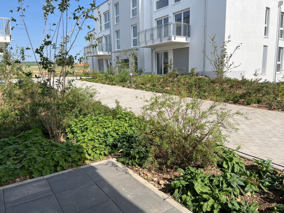 Thumbnail-Moderne 2-Zimmer-Wohnung in Hargesheim mit Terrasse und Tiefgaragenstellplatz