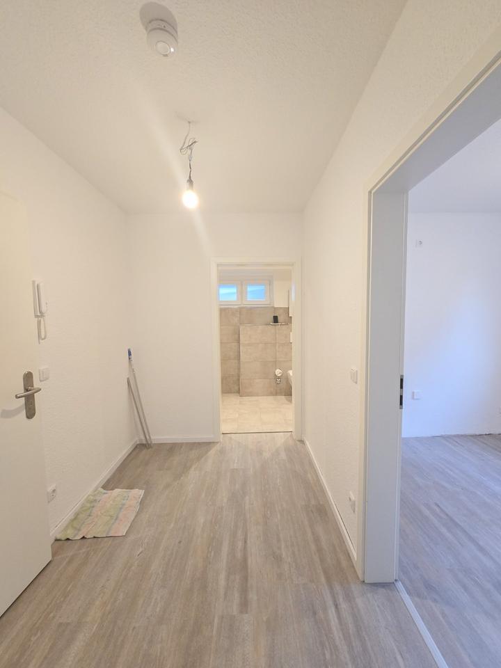 Thumbnail-Neu saniert und renoviert, Souterrain in Essen Heisingen nahe Baldeneysee