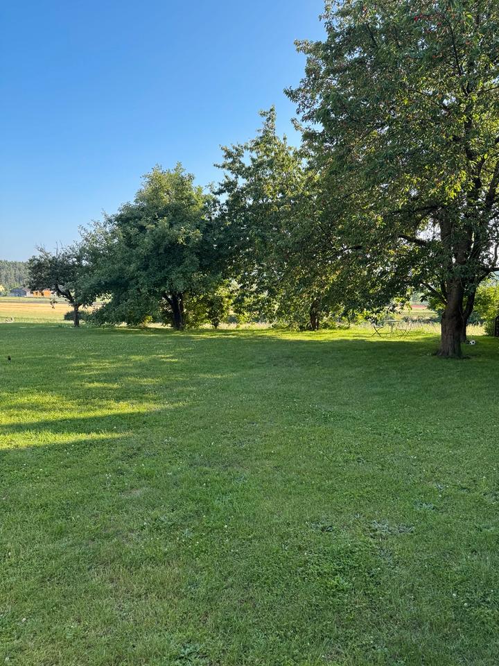 Thumbnail-Wunderschöne Eigentumswohnung in der Natur