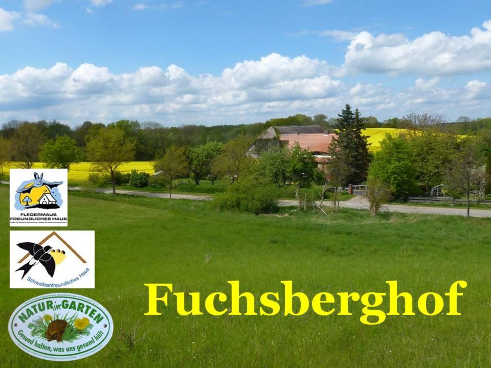 Thumbnail-Urige Ferienwohnung am Müritz Nationalpark Angelurlaub