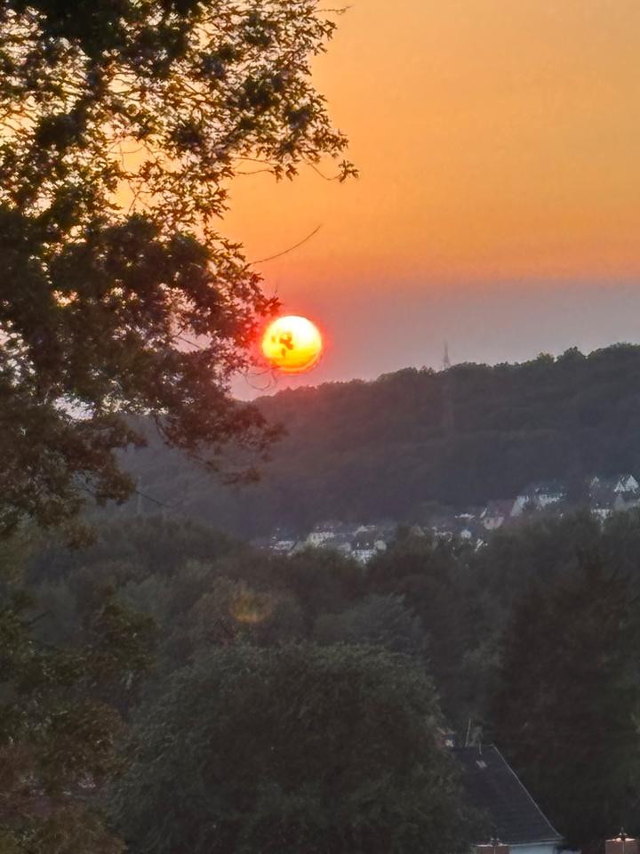 Thumbnail-56qm Uninähe