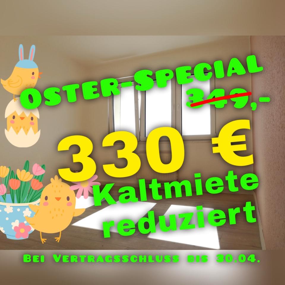 Thumbnail-NEU sanierte 2-Raum Wohnung Narsdorf gemütlich und hell