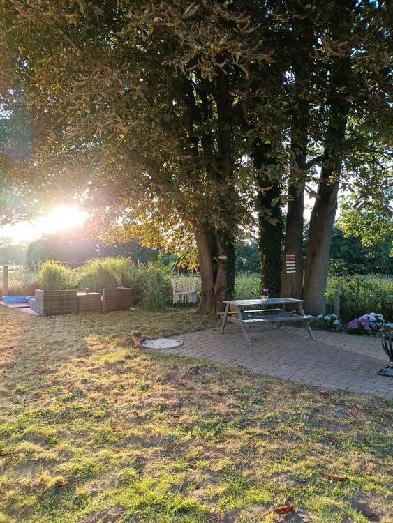 Thumbnail-Zimmer Wohnung WG Mitbewohner Mitbewohnerin Garten