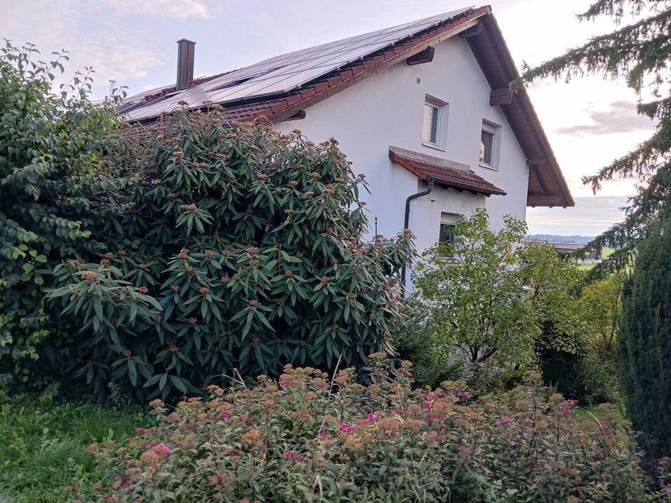 Thumbnail-Wohnung in Ingersheim