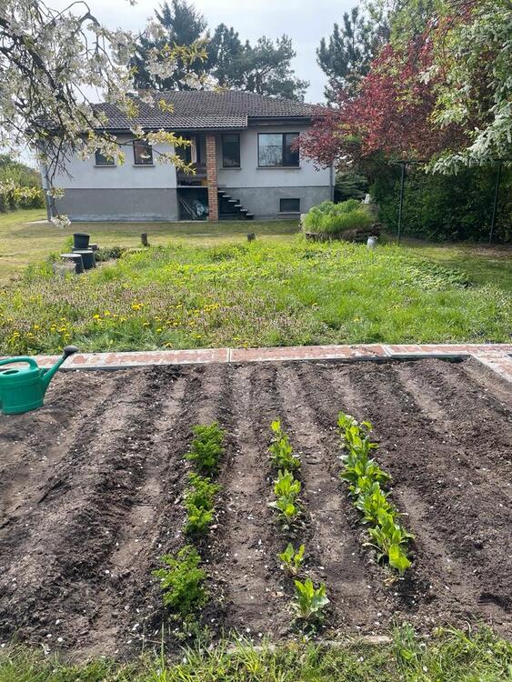 Thumbnail-Einfamilienhaus