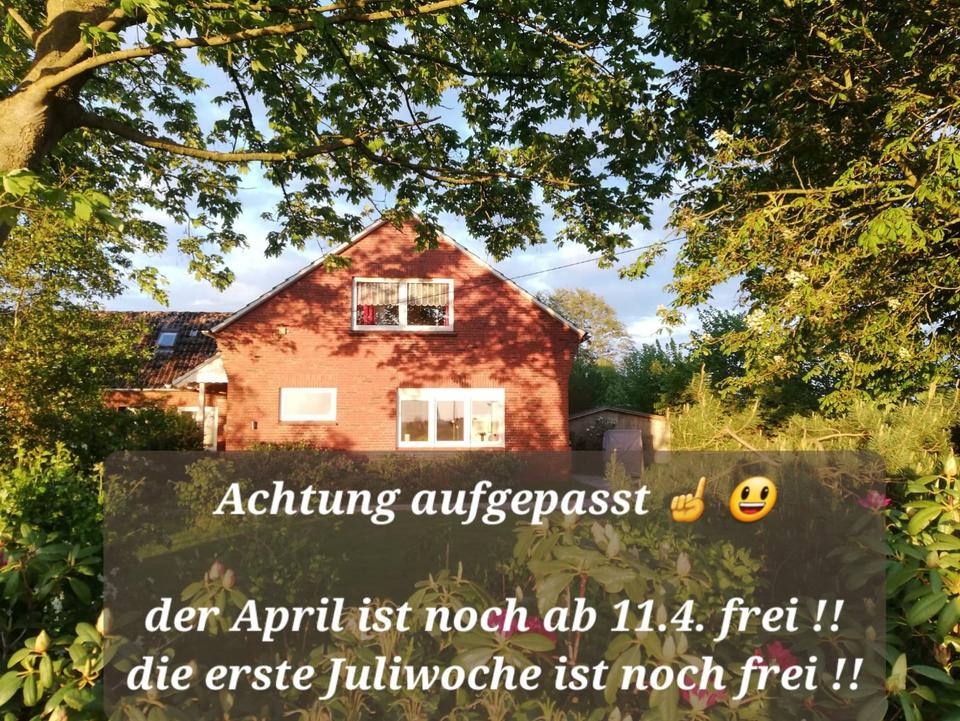 Thumbnail-Ferienhaus Ostfriesland Nordsee mit Hund, barrierefrei, Monteure