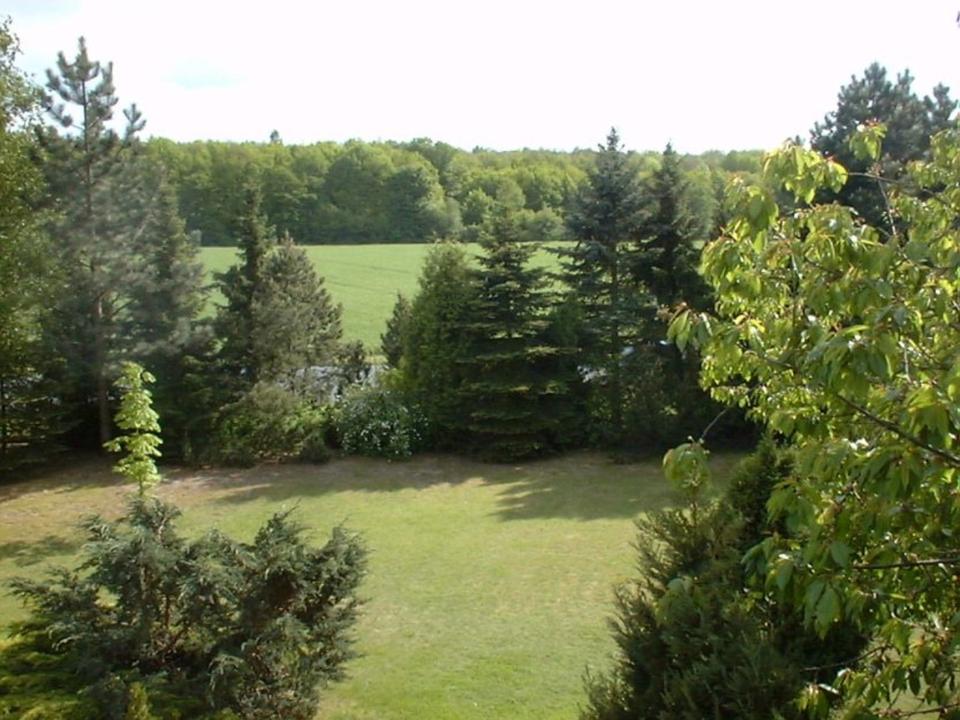 Thumbnail-Souterrainwohnung