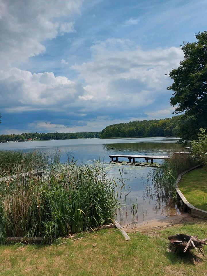 Thumbnail-Kleiner Bungalow am See zu vermieten
