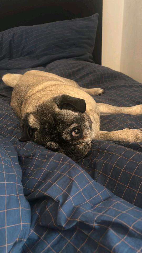 Thumbnail-Große 3 Zimmer Hof Wohnung ,Traumlage in Schwarme .