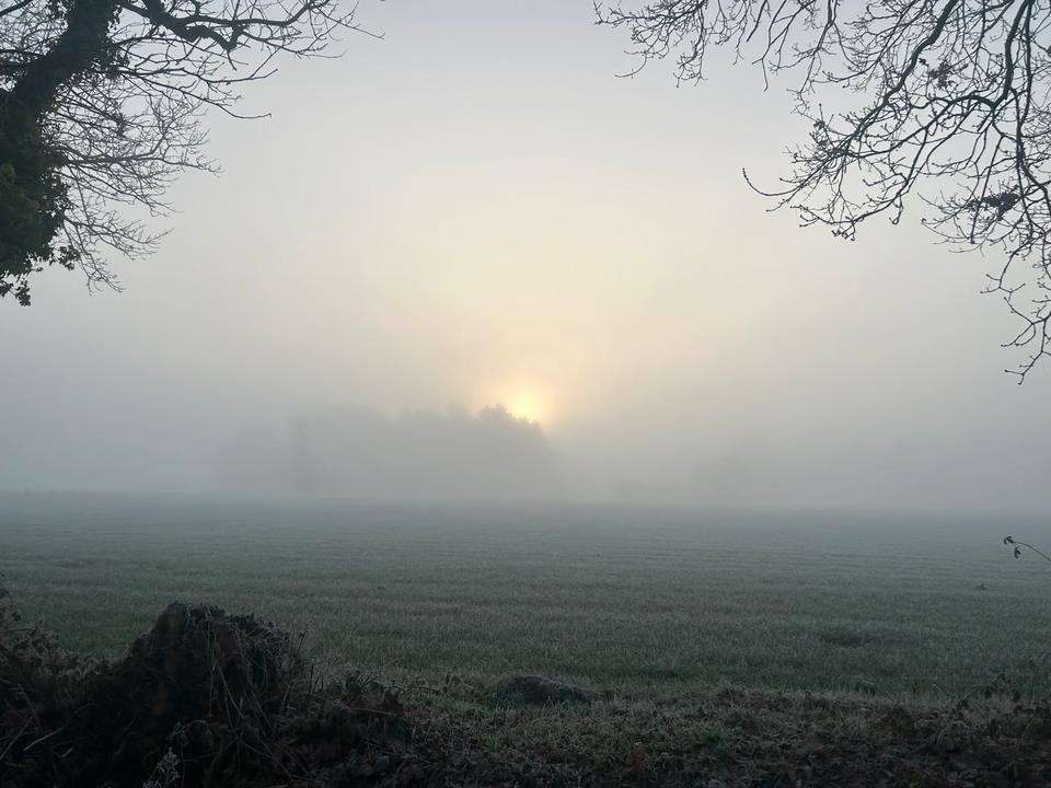 Thumbnail-Exklusive Ferienwohnungen im Ammerland – Westerstede