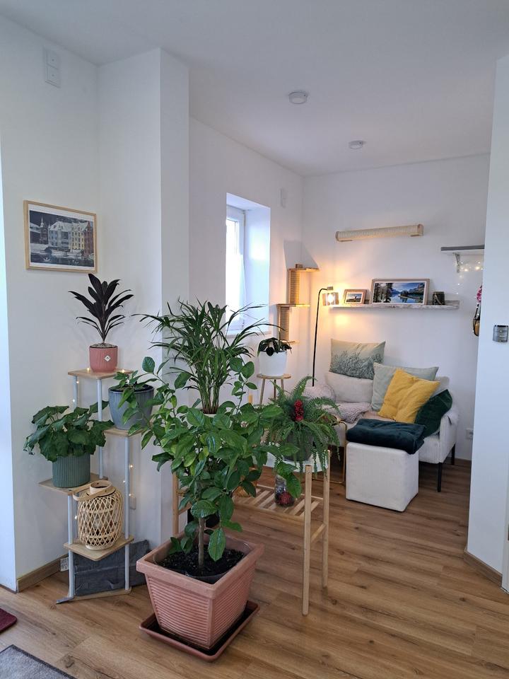Thumbnail-Finsing : Einliegerwohnung mit Garten und eigenen Eingang ca 42m