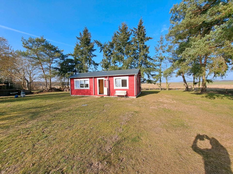 Thumbnail-Ferienhaus Mecklenburgische Seenplatte 17209 Priborn