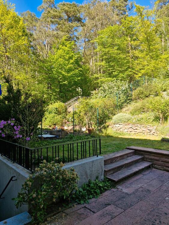 Thumbnail-Wohnung mit Garten, direktem Waldzugang und herrlichem Ausblick