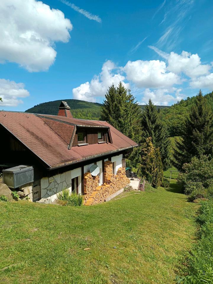 Thumbnail-Urlaub im Ferienhaus im Thüringer Wald - Oberschönau