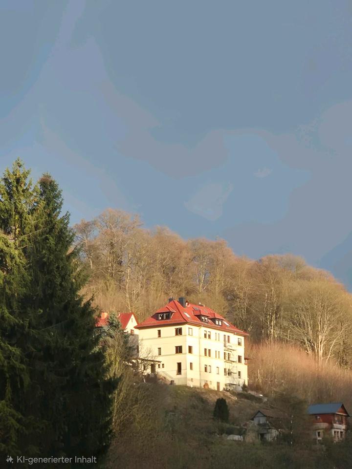 Thumbnail-Frisch Renovierte 3 Raum Wohnung in Sonniger Lage