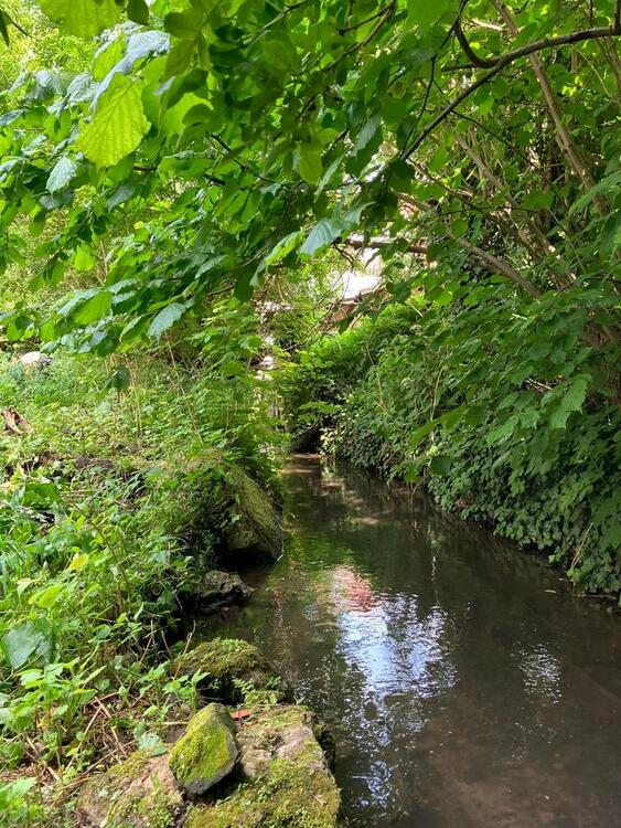 Thumbnail-Einzigartiges Grundstück m. sanierungsbedürftigem Haus u. Scheune