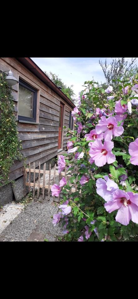 Thumbnail-Chalet, Mobilheim, Tinyhouse modernisiert zu verkaufen