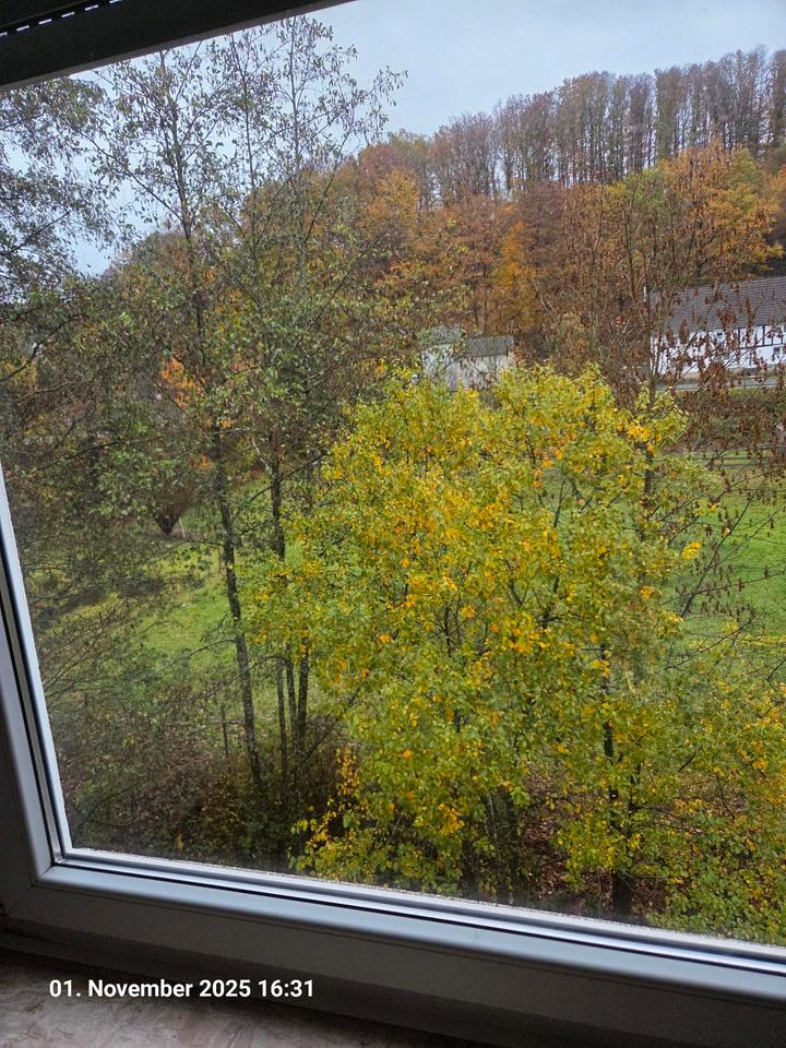 Thumbnail-Wohnung im OG – ruhig &Zentral inkl Küche