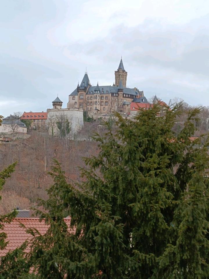 Thumbnail-2 Raumwohnung in Wernigerode