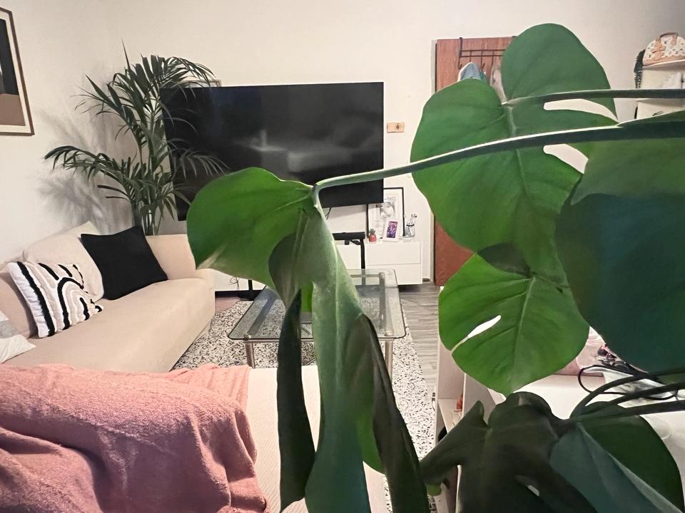 Thumbnail-Große möbliertes WG Zimmer für Frauen