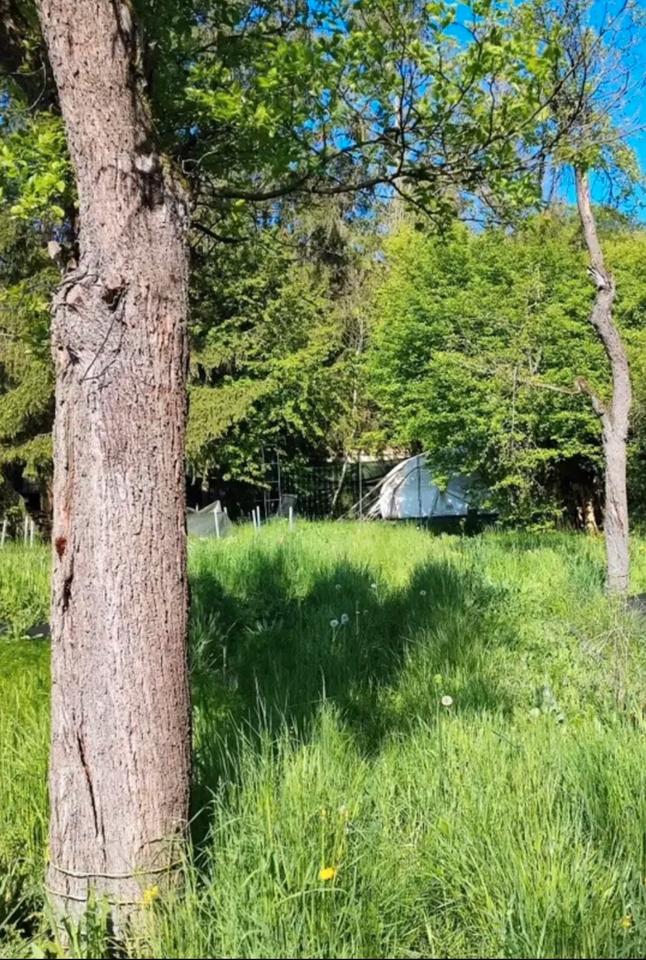 Thumbnail-Garten Grundstück mit Privatsphäre zur Pacht