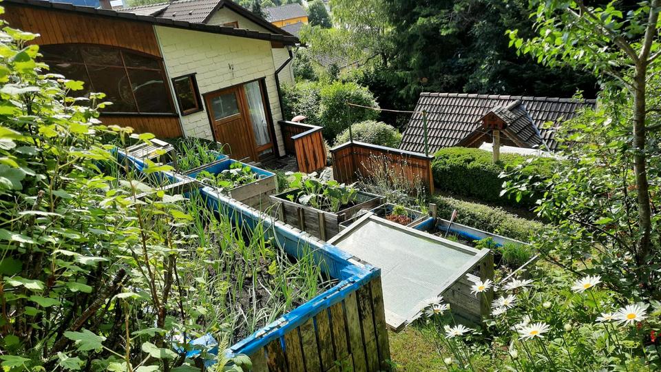 Thumbnail-Einfamilienhaus