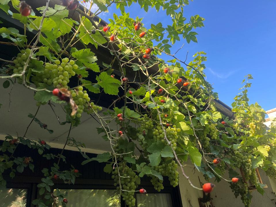 Thumbnail-Sommer im Garten. Winter am Kamin. Zuhause für die ganze Familie
