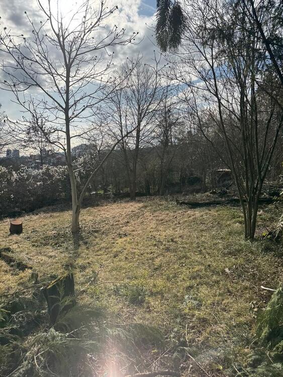Thumbnail-Garten mit Skylineblick auf dem Lohrberg zu vermieten