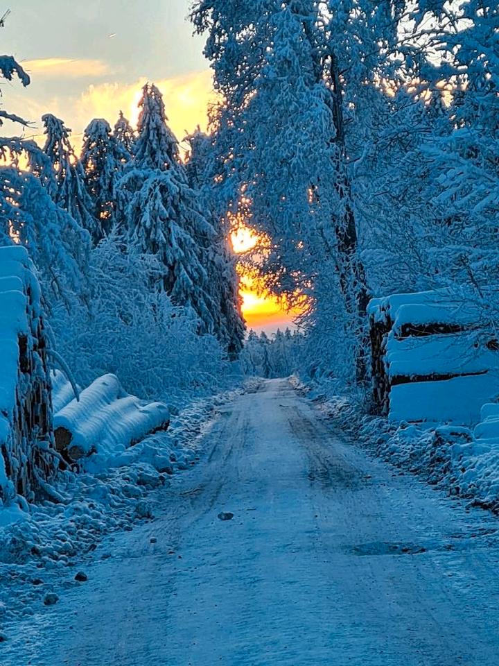 Thumbnail-Harz Hahnenklee Ferienwohnung